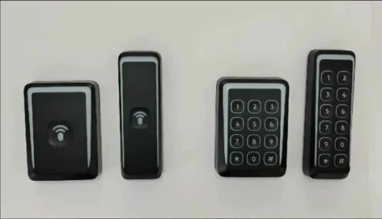 Lettore per porta di accesso RFID UHF a lungo raggio impermeabile Bluetooth con controllo svedese Cidron RS485